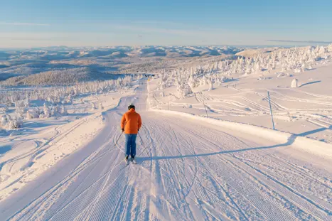 Skirejser Norefjell