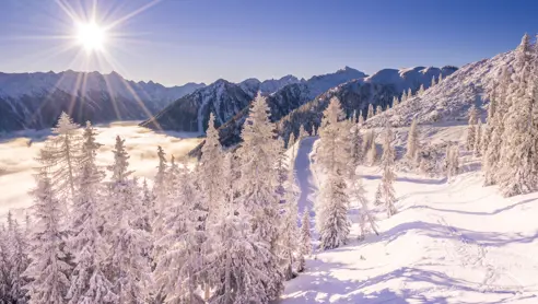 Smukt vinterlandskab i bjergene Østrig Schladming