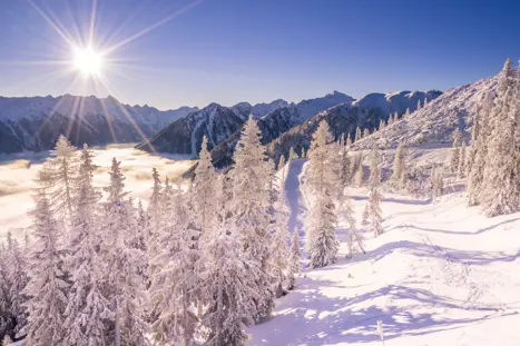 Billeder Skiferie Schladming