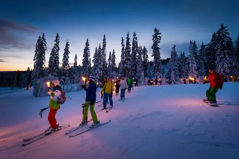 Trysil 16172876741 O