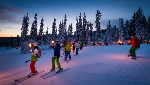 Trysil 16172876741 O