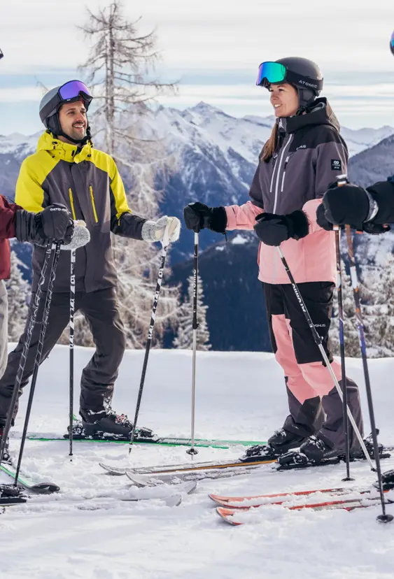 Gruppresor till Alperna