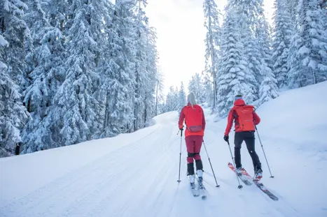 Skiferie til Dachstein West