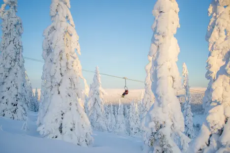 "Winter Wonderland" i de nordiske fjelde. Meget stor snesikkerhed. Og mangle indkvarteringer med ski in/out. Bo i hytte eller lejlighed og få en meget billig skiferie til Norge eller Sverige. Lille TIP - Book evt kun 4-5 nætter og spar op til 40 % af rejsens pris.