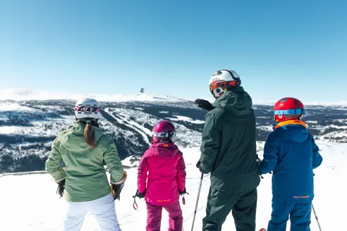 Alpincokvitfjell 38