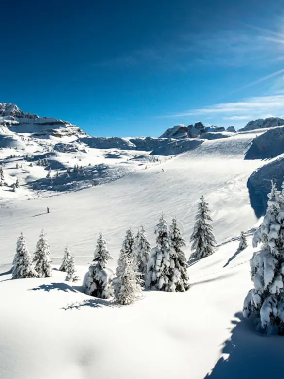 Madonna Di Campiglio 2024 1