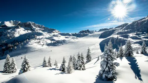 Nortlander, Skiferie i Madonna di Campiglio