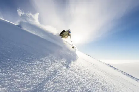 Skikjoring Trysil Om 180310 8 29214335728 O