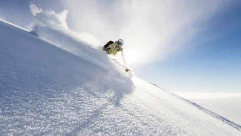 Skikjoring Trysil Om 180310 8 29214335728 O