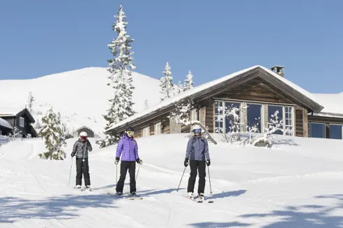 Trysil 35774506333 O