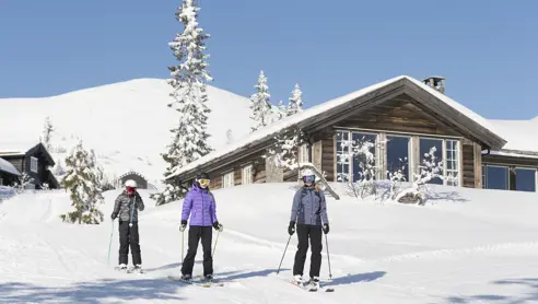 Trysil 35774506333 O