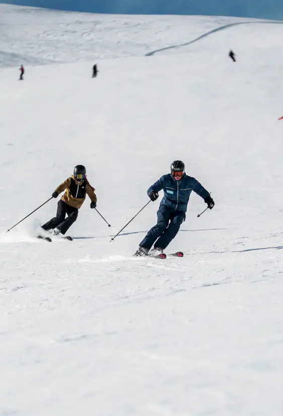 Skischoolonline (14)