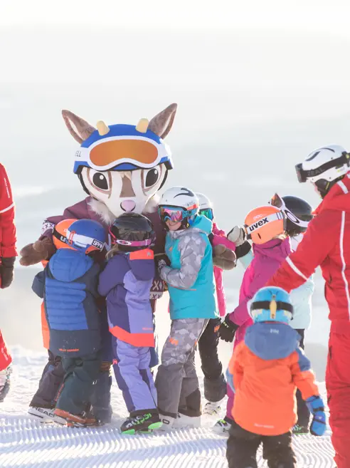 48798552711 Fc2223ed50 6K