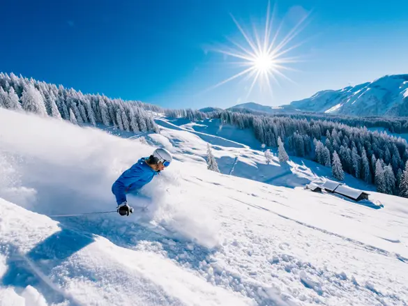 Ski Amade Freeride 06