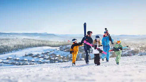 Billig skiferie til Branäs, bookes via SnowTours.dk. PRIS MATCH på alle priser!