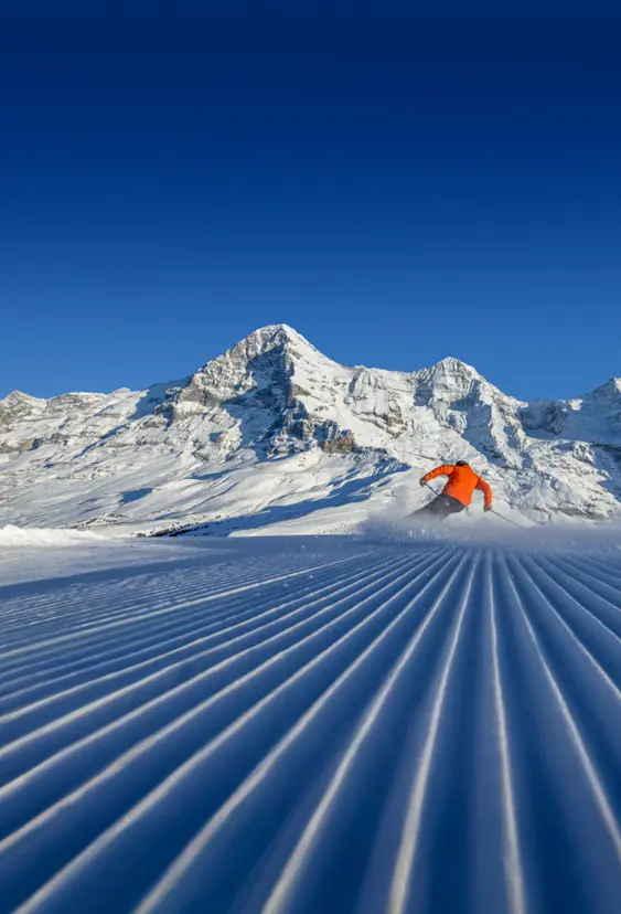 Grindelwald 2025 32