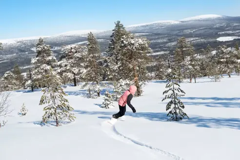 Stöten Friåkning Snö 7506688