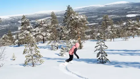 Stöten Friåkning Snö 7506688