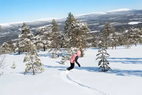 Stöten Friåkning Snö 7506688