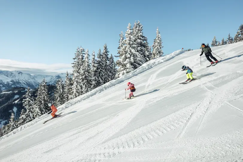 Få ett reseförslag på skidresan i vecka 11