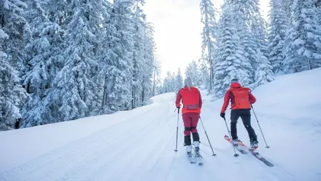 Skiferie til Dachstein West