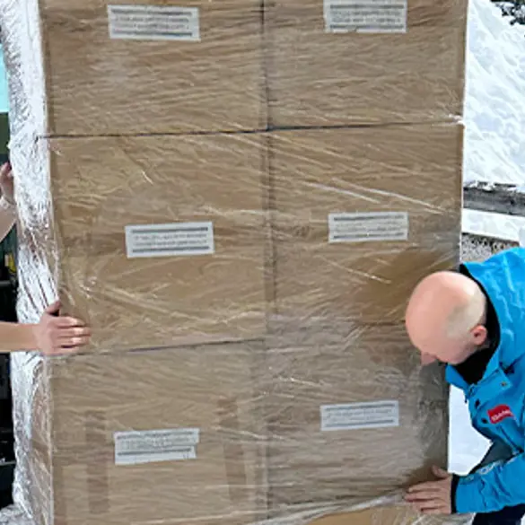 Pedel Skinetworks Forside Danski