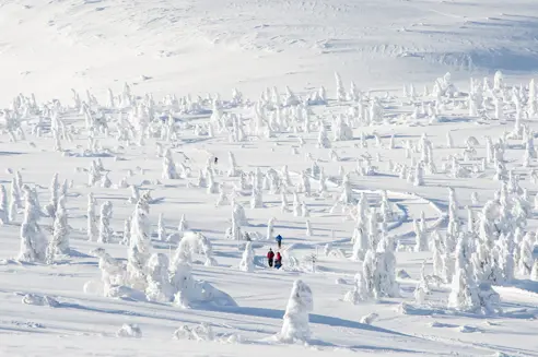 Trysil 14842874292 O