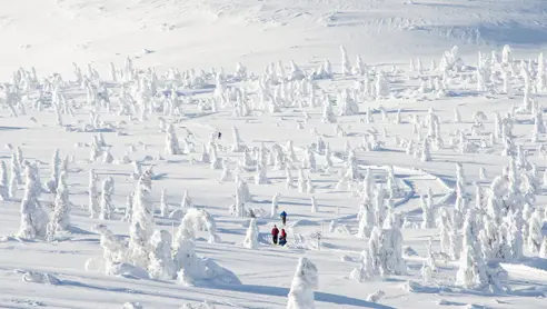 Trysil 14842874292 O