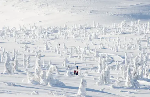 Skiferie Trysil