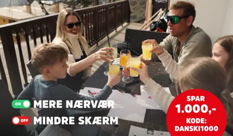DS 600X350 Nærvær
