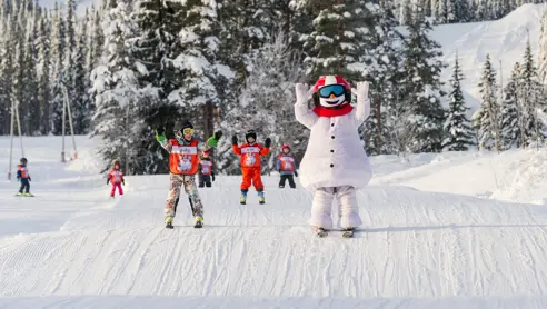 Trysil 23995449844 O