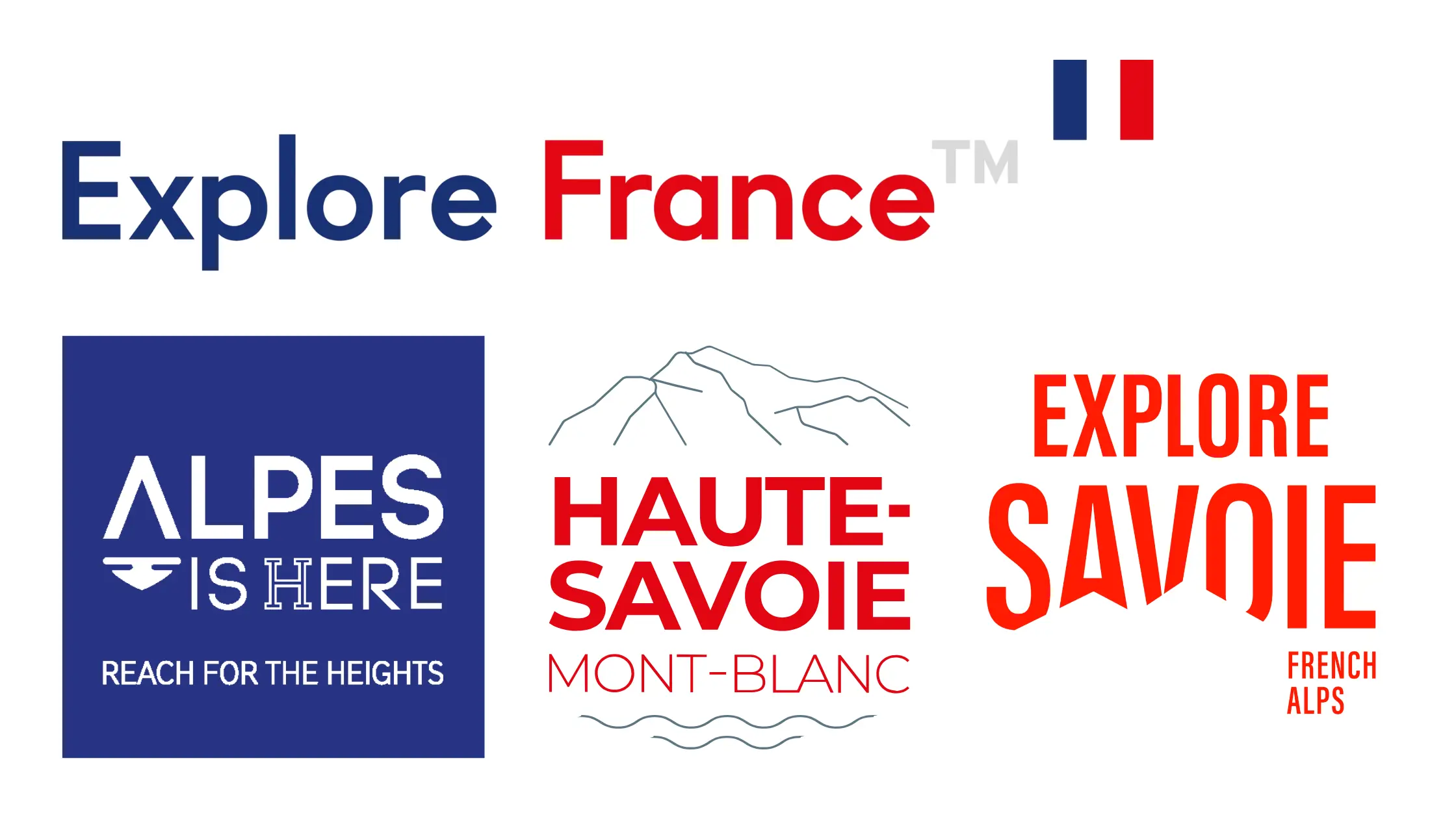 Bloc Type Logos Partenaires Skinetworks 2