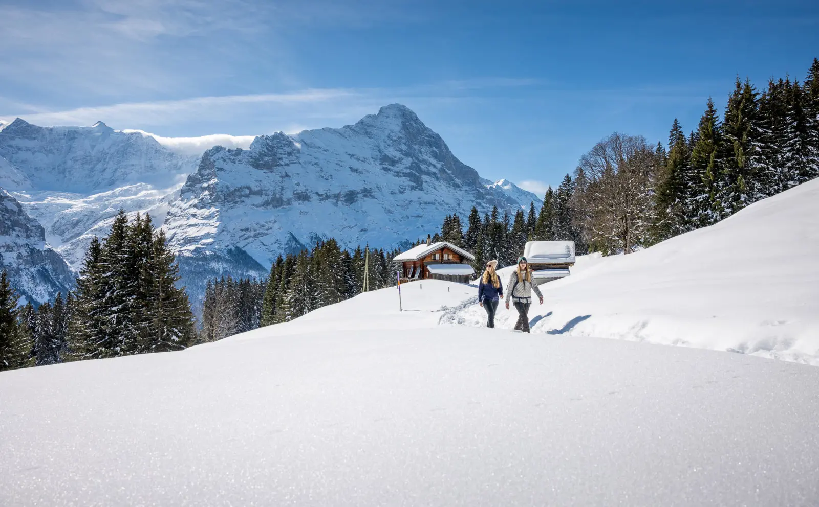 Billeder fra Grindelwald