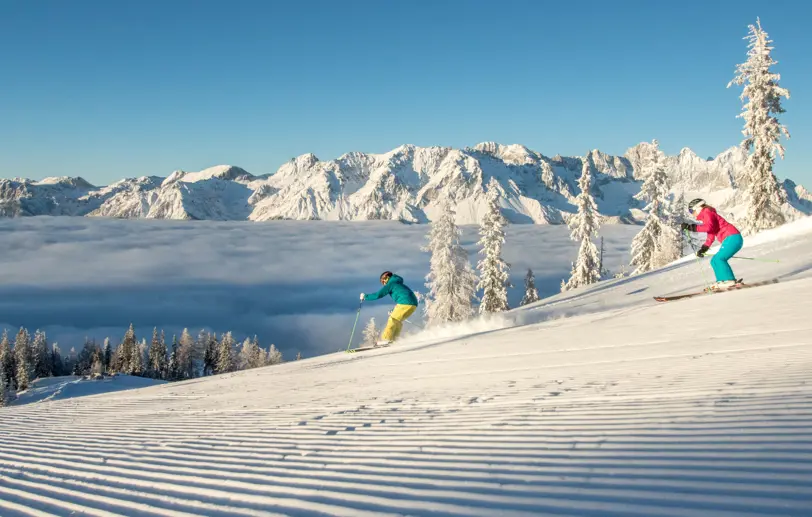 Få ett reseförslag på skidresan i vecka 4