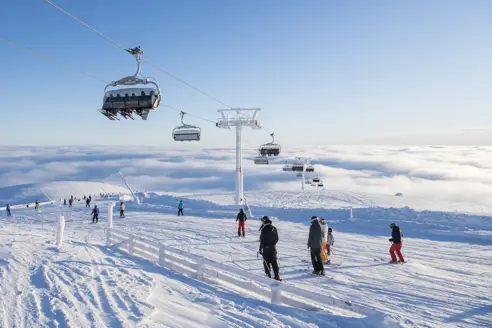 Trysil 24627915917 O