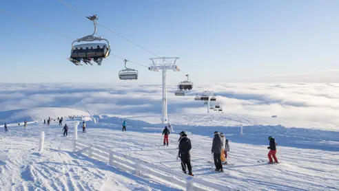 Trysil 24627915917 O