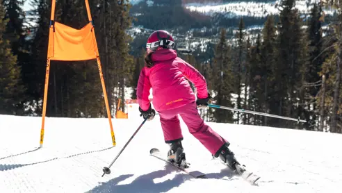 Alpincokvitfjell 65