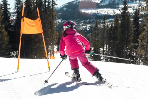 Alpincokvitfjell 65
