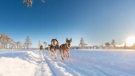 Skiferie i Sverige