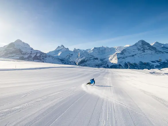 Grindelwald 2025 37