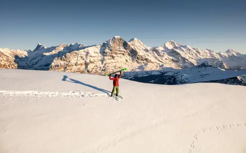Skidresor till Grindelwald med Nortlander