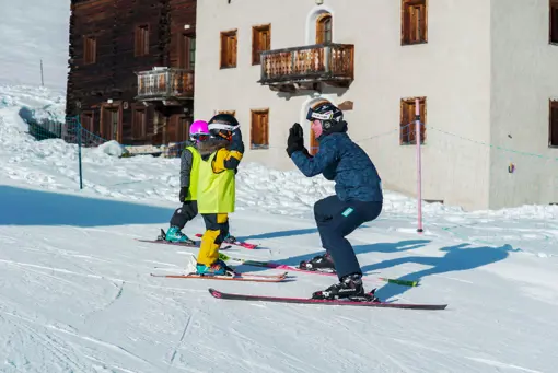 Skischoolonline (12)