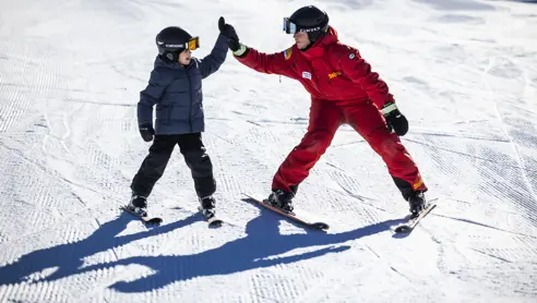 Trygg Stoten 2 23 0813