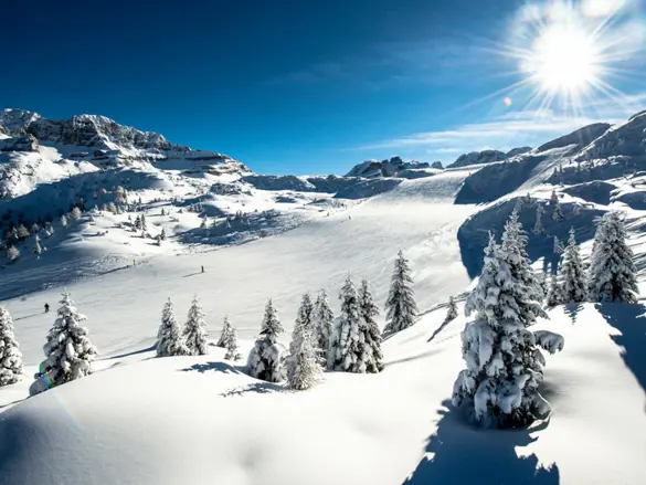Madonna Di Campiglio 2024 1 (2)