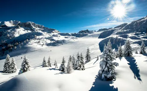 Madonna di Campiglio