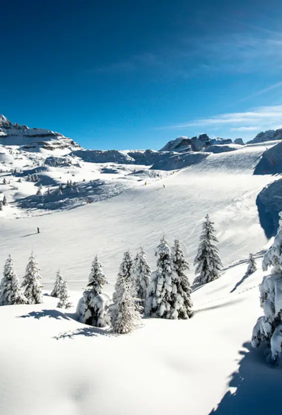 Madonna Di Campiglio 2024 1 (2)