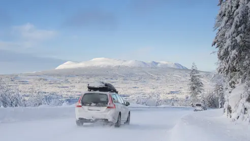 Trysil 32802637590 O