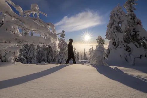 Skiferie til Trysil