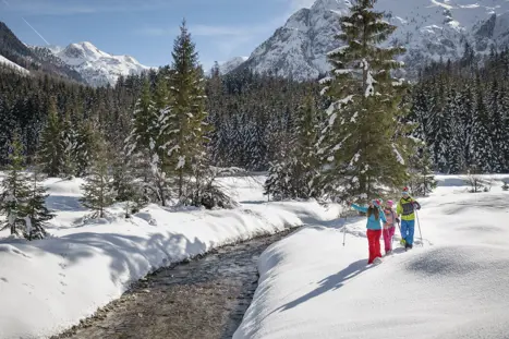 Billeder skiferie Flachau