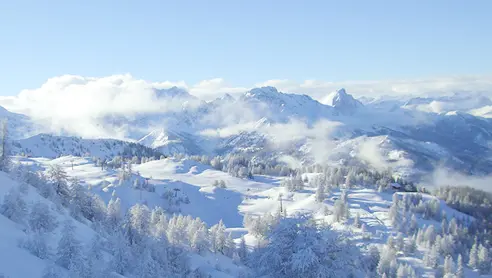 Nortlander, Skiferie i Passo Tonale